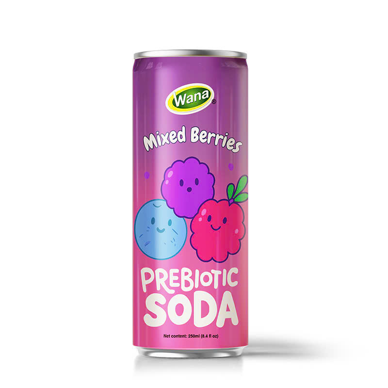 Wana Lemon & Ginger Prebiotic Soda – Refreshing & Good for Digestion! - Image 5