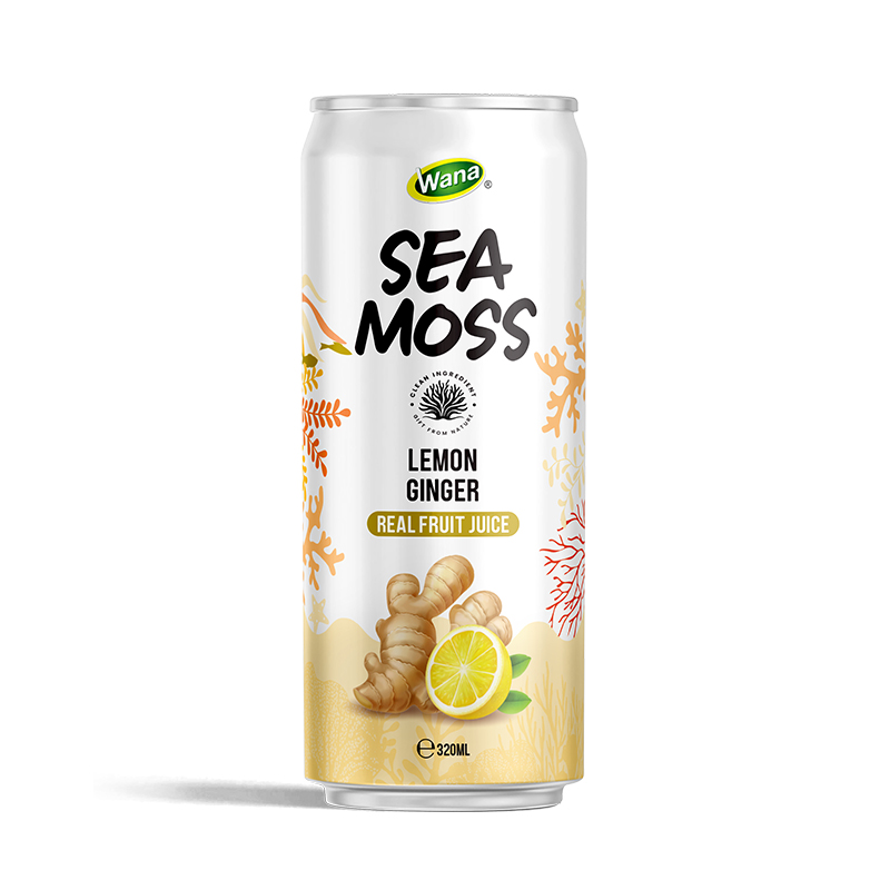SEA MOSS WITH WATERMELON LIME - Image 8