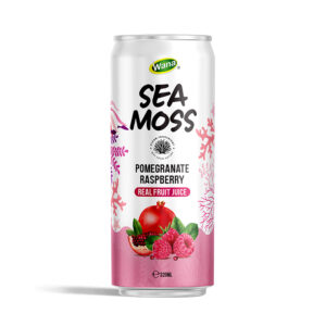 SEA MOSS WITH POMEGRANATE RASPBERRY