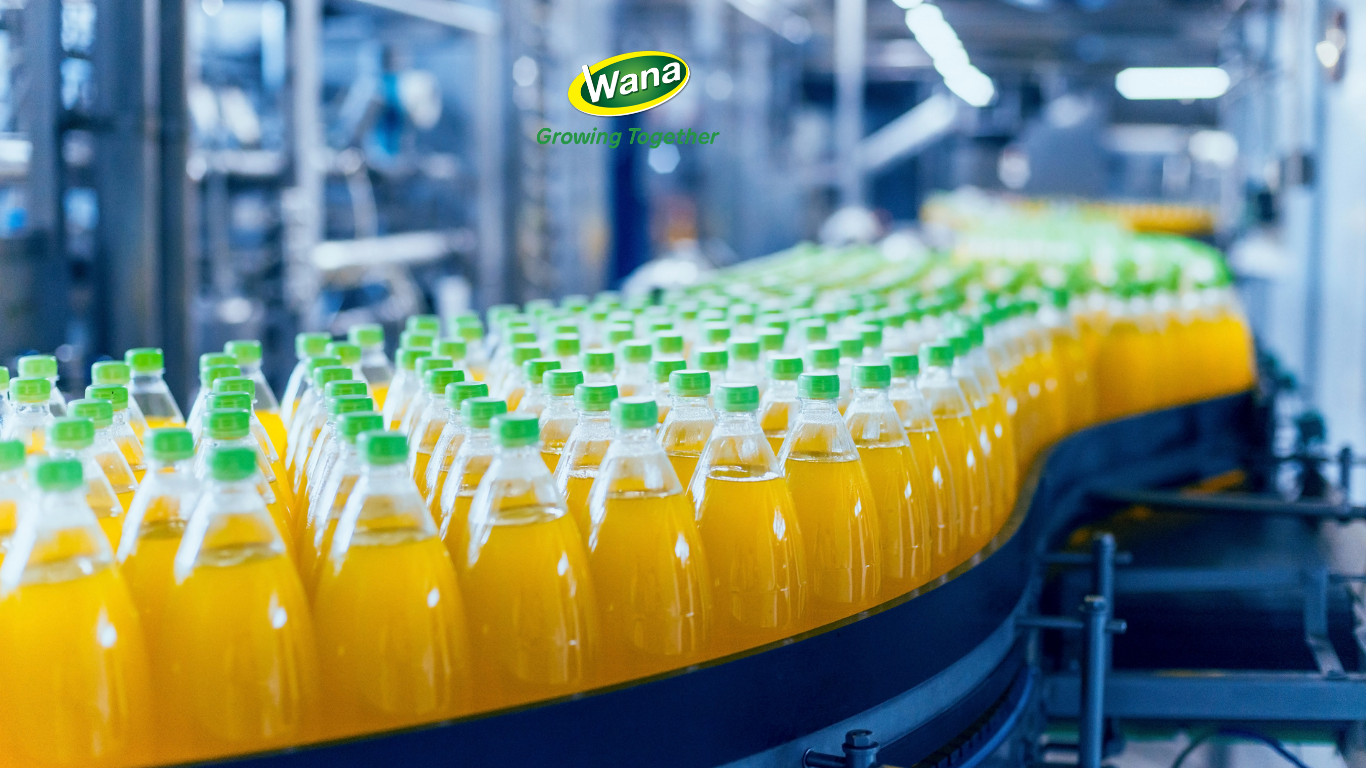  EPR beverage Packaging Regulations 
