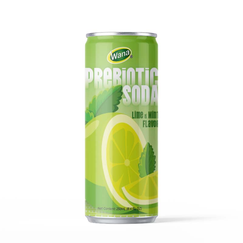 Prebiotic Soda – Grape Flavor - Image 5