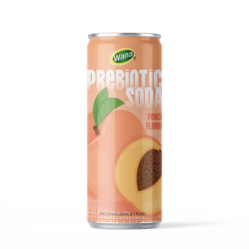 Prebiotic Soda – Grape Flavor - Image 3
