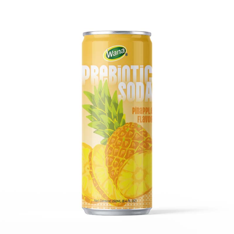 Prebiotic Soda – Grape Flavor - Image 2