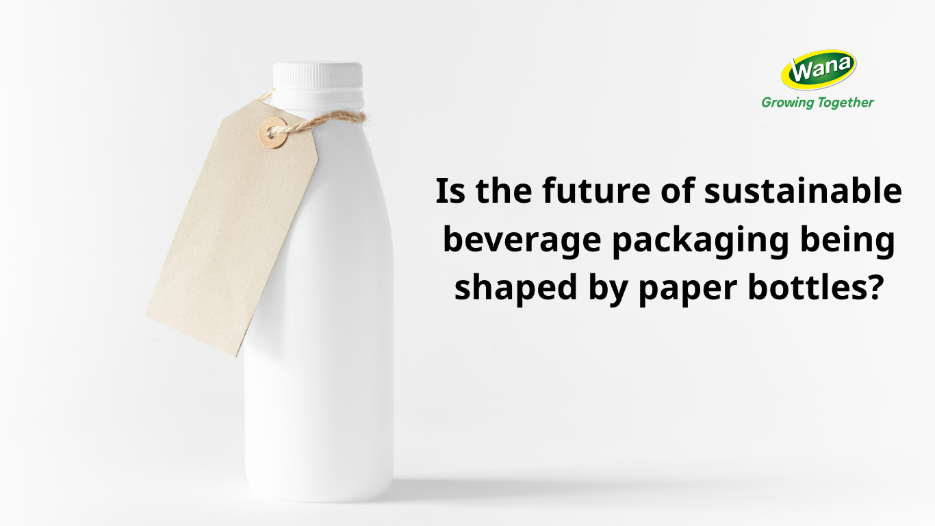 Beverage Packaging Innovations in 2026